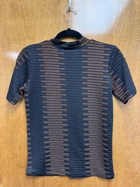 Zara Black and Brown Striped Mesh Short Sleeve Top